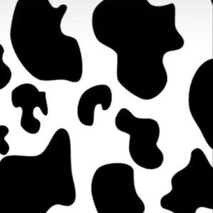 Meet your Posher, Dylan